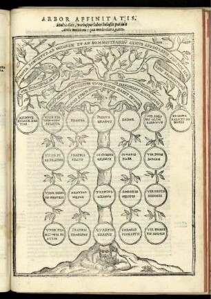 Arbor Affinitatis