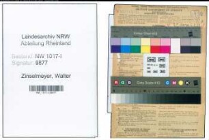 Entnazifizierung Walter Zinselmeyer , geb. 18.07.1898 (Konstruktionsleiter)