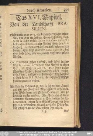 Das XVI. Capitel. Von der Landschafft Brasilien.