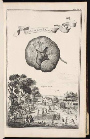 p. 118a Auf der Schütt. - Insel Schütt, Nürnberg