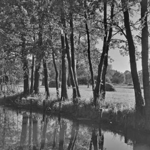 Fließgewässer im Spreewald. : Groble w Błótach.