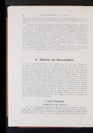 2. Muskeln der Extremitäten.