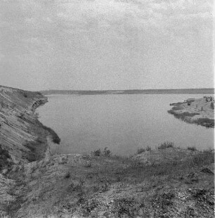 Binsen und Wasserlinsen. Gewässer (vielleicht ein Stausee)