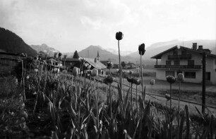 Riezlern: Blick auf den Ort, Vordergrund Tulpen