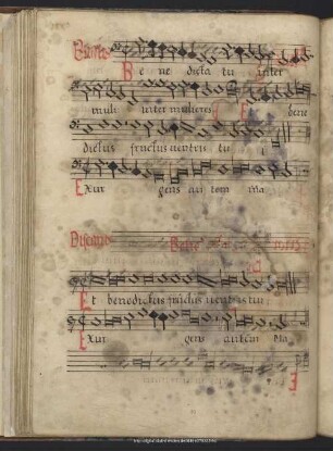Anonymus: Benedicta tu inter mulieres