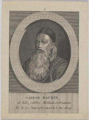 Bildnis des Gaspar Bauhin
