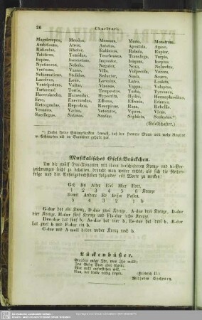 Lückenbüßer