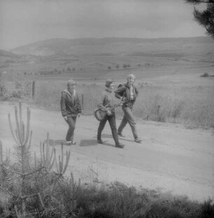 Ostwestfalen.Wandernde Jugendliche, musizierend auf einer Landstraße