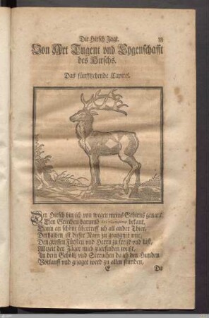 Die Hirsch Jagt.