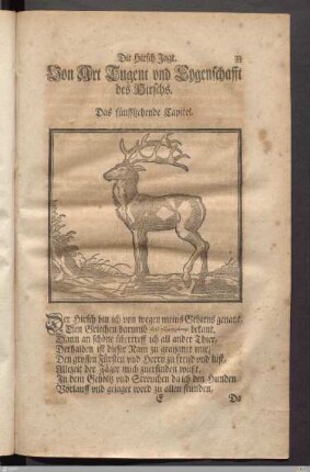 Die Hirsch Jagt.