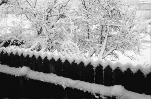 Bukarest: Ausblick aus unserem Fenster (Willy Pragher) durchs Gitter, verschneiter Bretterzaun
