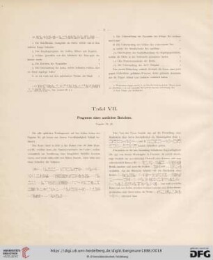 Tafel VII: Fragment eines amtlichen Berichtes