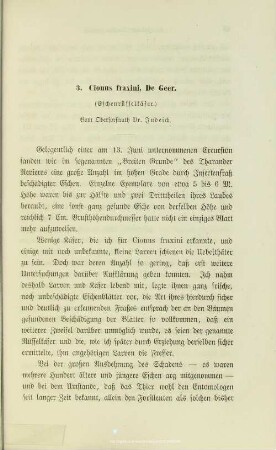 I.3. Cionus fraxini, De Geer