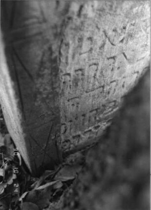 Grabstein 306 (Index: 100115865) Material: Sandstein Zustand: verwittert mit Textverlust, teilweise im Boden versunken Maße HxBxT: 92x61x15 cm Beschreibung: Stele mit giebelartigem Abschluß, eingetieftes Schriftfeld mit Rundbogenabschluß Symbolik: Cohanim-Hände: Grabstein 306C