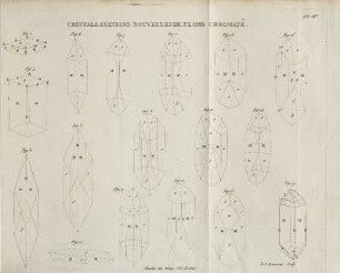 Illustration: Cristallisations Nouvelles De Plomb Chromaté