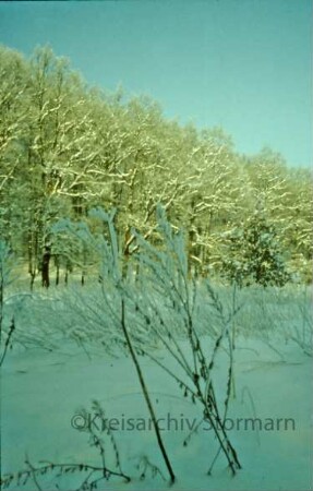 Kurpark im Winter