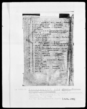 Hs. 653 & Braune Ottobeurer Codex & Necrologium Computus & fol 1v