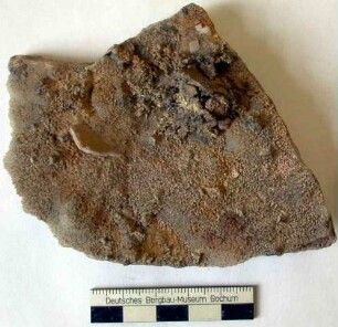 Gediegen Gold auf Quarz