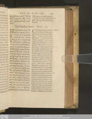 Quid significat inane, Cap. IX.