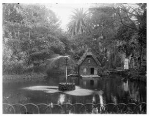 Funchal, Madeira. Touristen der Hapag an einem Teich mit Springbrunnen in exotischer Pflanzenwelt einer Parkanlage