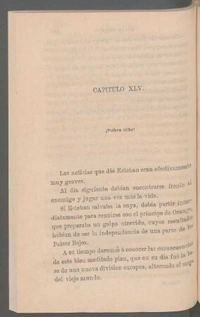 Capítulo XLV. - ¡Pobre niño!
