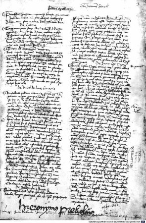Kollektaneen des Hieronymus Streitel - BSB Clm 14053