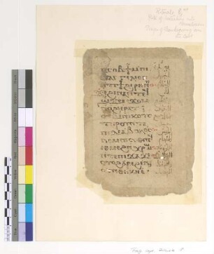 [Rite of Initiation into Monasticism] : Fragm. copt. Pischoi Rituale 8