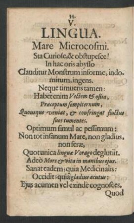 V. Lingua.