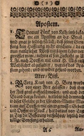 Centuplum Marianum : Das ist: Hundert Aus viel Tausenten, Durch Hülff Mariae, Der Wunderbarlichen Mutter Gottes, In ihrem Wunderthätigen Gnade[n]-Bild auf dem Ruprechts-Berg nebst Dorffen, Ihrer Zuflucht ergebnen, andächtigen Diener- und Dienerinen ersprossenen Gutthaten, 3
