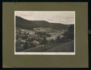314, Schwarzwald. Wildbad. (Nr. 3924).