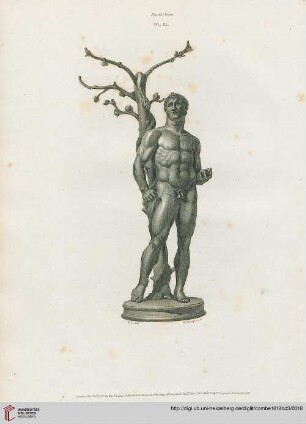 Plate II
