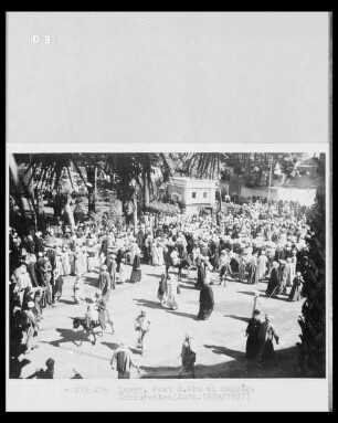 Fest des Abu el Haggâg, Schaureiten