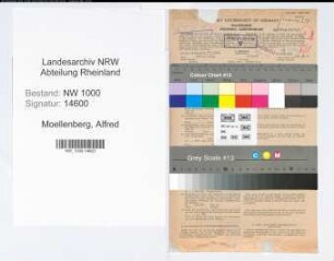 Entnazifizierung Alfred Moellenberg, geb. 03.01.1907 (Kaufmann)
