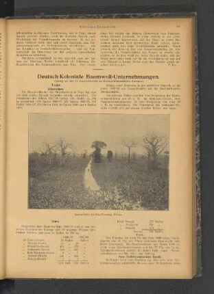 Deutsch-Koloniale Baumwoll-Unternehmugnen.