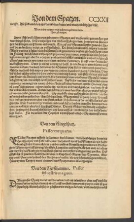 Von dem Gersthammer. Passer sylvestris magnus.