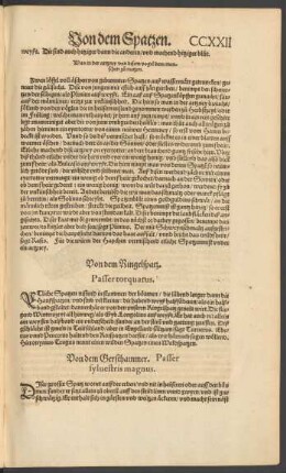 Von dem Gersthammer. Passer sylvestris magnus.