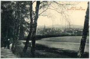 Löbau. Am Löbauer Berg