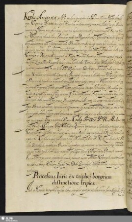 Processus Iuris ex triplici bonorum distinectione triplex