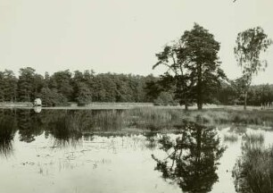 Moritzburger Teichgebiet, Mittelteich, Blick zur Kalkreuther Straße mit dem Abfluß