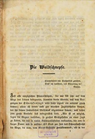 Die Waldschnepfe