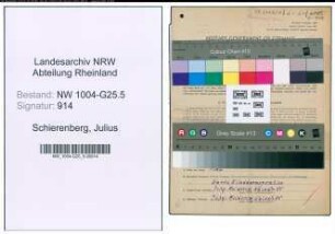 Entnazifizierung Julius Schierenberg , geb. 05.01.1904 (Metzgermeister)
