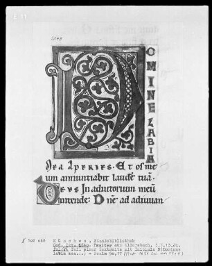 Psalter aus Aldersbach — Initialseite D (omine labia mea), Folio 19recto