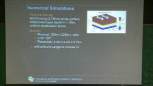 The Global Impact of Subgrid-Scale Langmuir Turbulence and Upper Ocean Carbonate Chemistry