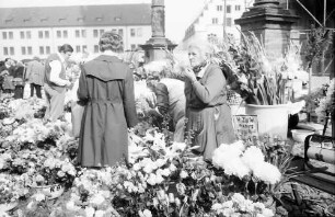 Freiburg: Markt, Blumenstände vor dem Münster