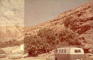 Ain Musa