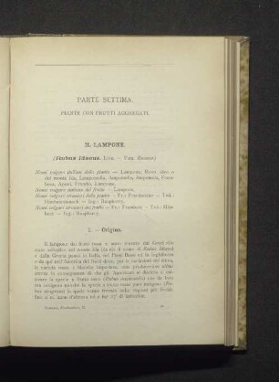 Parte Settima. Piante con frutti aggregati.