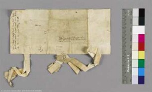 (Die Grafen Ulrich, Adolf und Burchard von Lindau)