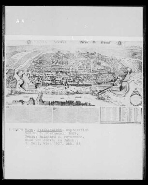 Stadtansicht von Wien