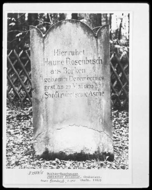 Grabstein Haune Rosenbusch (+1895)