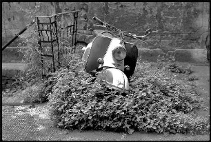 Hinterhof mit stillgelegtem, umwucherten Motorroller